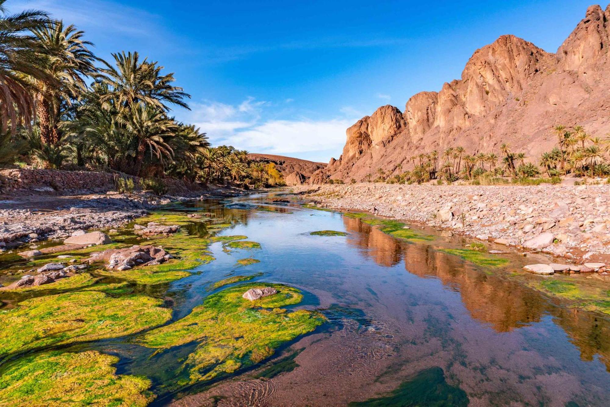 Appart Aigle Hotel Ouarzazate Esterno foto